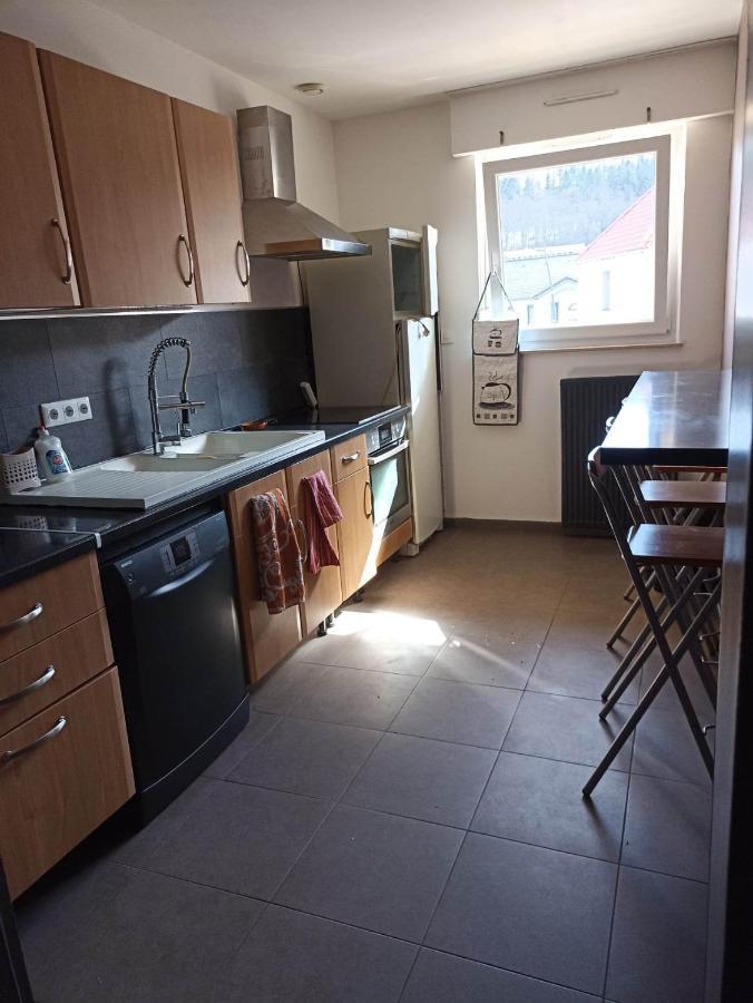 Appartement Gauche Avec Balcon Hargarten-aux-Mines Esterno foto