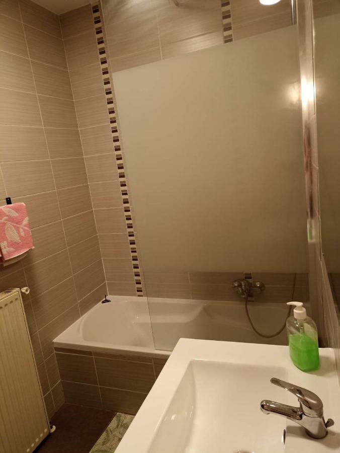 Appartement Gauche Avec Balcon Hargarten-aux-Mines Esterno foto